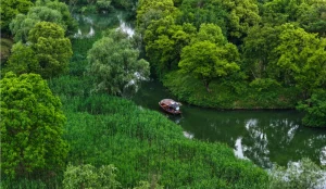 西溪国家湿地公园+宋城纯玩一日游（龙舌嘴入口）