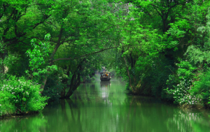 西溪国家湿地公园+宋城一日游（周家村入口）