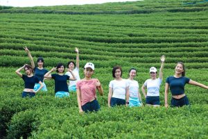 “探秘杭州小九寨”—龙坞深度茶文化体验