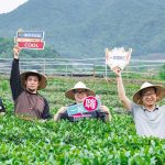 东北+内蒙连线：五大连池-扎龙鹤乡- 海拉尔-满洲里-呼伦贝尔草原双卧7日游