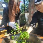 东北+内蒙连线：五大连池-扎龙鹤乡- 海拉尔-满洲里-呼伦贝尔草原双卧7日游