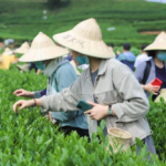 东北+内蒙连线：五大连池-扎龙鹤乡- 海拉尔-满洲里-呼伦贝尔草原双卧7日游