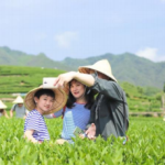 泉州-厦门-鼓浪屿-武夷山-九曲溪双飞五日游 “CosPaly茶田小茶农”亲子游学茶文化体验