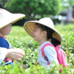 泉州-厦门-鼓浪屿-武夷山-九曲溪双飞五日游 如品温润清雅的人生,江南非遗九曲红梅茶体验
