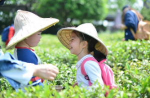 如品温润清雅的人生，江南非遗九曲红梅茶体验