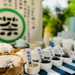 东北+内蒙连线：五大连池-扎龙鹤乡- 海拉尔-满洲里-呼伦贝尔草原双卧7日游