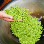 东北+内蒙连线：五大连池-扎龙鹤乡- 海拉尔-满洲里-呼伦贝尔草原双卧7日游